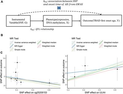 Association of genetic variants in ULK4 with the age of first onset of type B aortic dissection